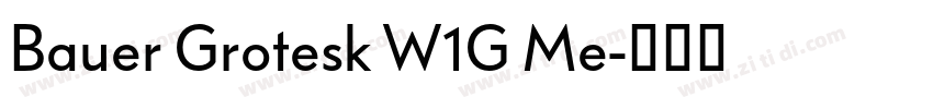 Bauer Grotesk W1G Me字体转换